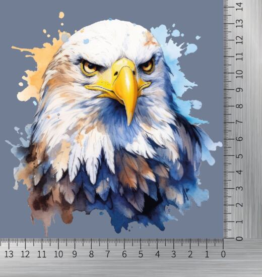 DTF Bügelbild K26 - Weißkopfseeadler (ca. 13 x 14cm)