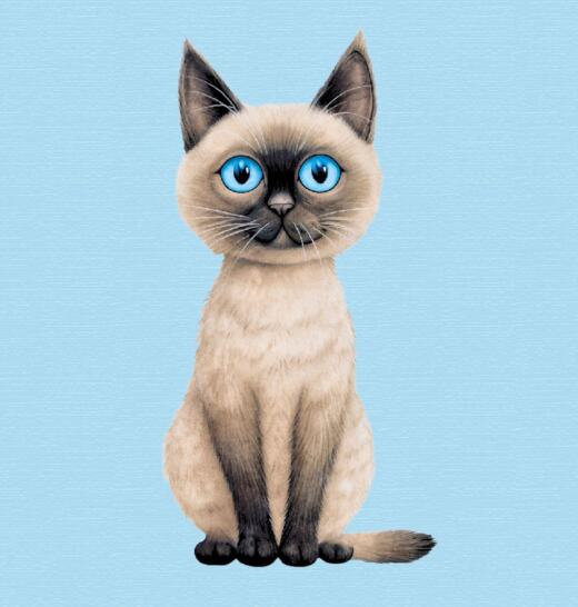 DTF Bügelbild K29 - Siamkatze (ca. 18 x 9,5cm)