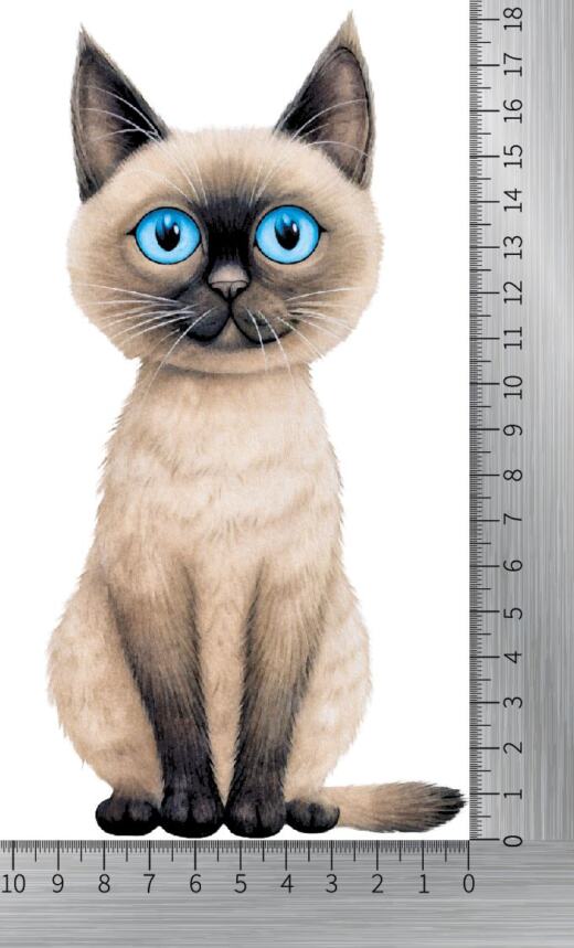 DTF Bügelbild K29 - Siamkatze (ca. 18 x 9,5cm)