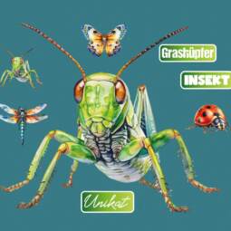 DTF Bügelbilder G16 - Tigerlilly EP - Grashüpfer & Insekten (ca. 18 x 21,5cm)