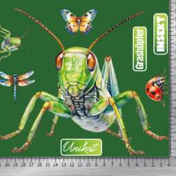 DTF Bügelbilder G16 - Tigerlilly EP - Grashüpfer & Insekten (ca. 18 x 21,5cm) – Bild 2