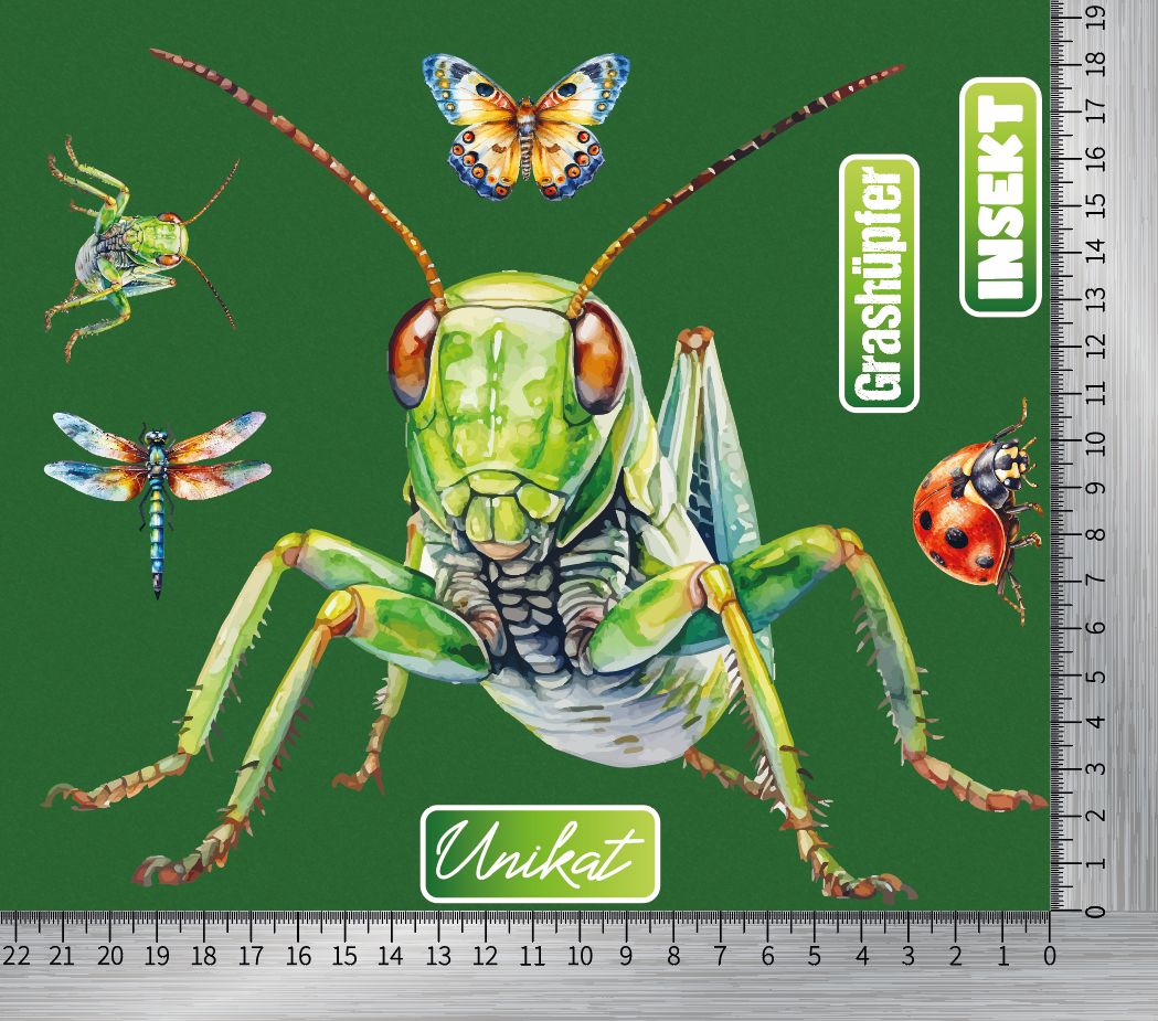 Grashüpfer und Insekten 18 x 21,5cm Lineal