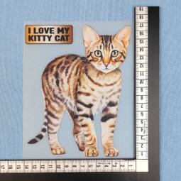 DTF Bügelbild H26 - Katze grau getigert (ca. 16,5 x 13cm) – Bild 2
