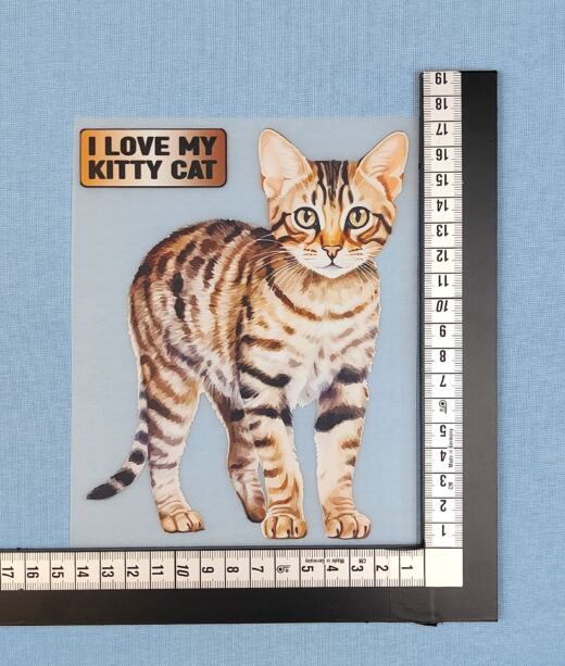 DTF Bügelbild H26 - Katze grau getigert (ca. 16,5 x 13cm)