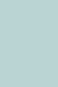 Biobündchen - Bloome Copenhagen - mint