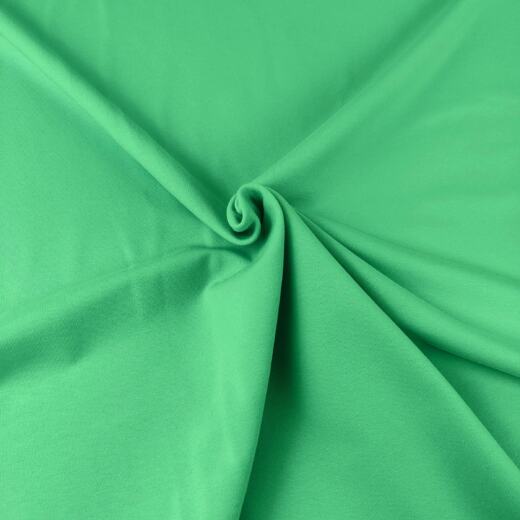 Bio Sommersweat Emma - green 076