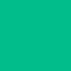Bio Soft Sweat uni - Emma - green 076