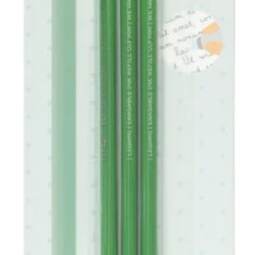Legami Ersatzmine für radierbaren Gelstift - grün
