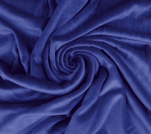 Bio Nicky - C.Pauli - blue print