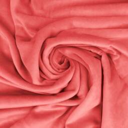 Bio Nicky - C.Pauli - rapture rose