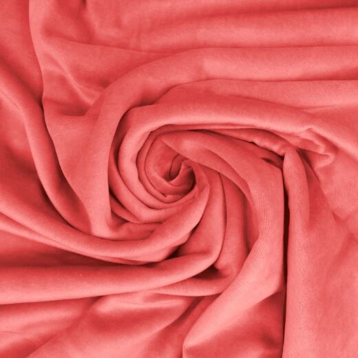 Bio Nicky - C.Pauli - rapture rose