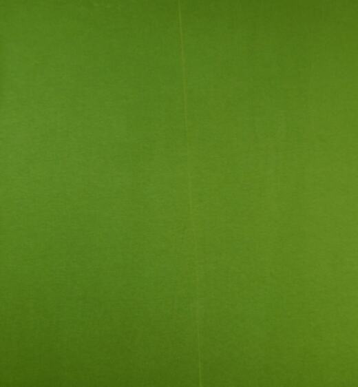 B-Ware: Bio Sommersweat Finn - dunkelgrün 700