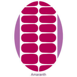 UV Gel Folien - Manilou - amaranth