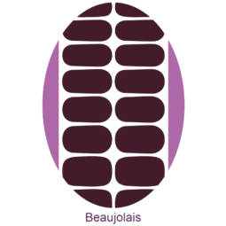 UV Gel Folien - Manilou - Beaujolais