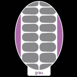 UV Gel Folien - Manilou - grau