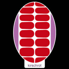 UV Gel Folien - Manilou - kirschrot
