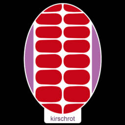 UV Gel Folien - Manilou - kirschrot