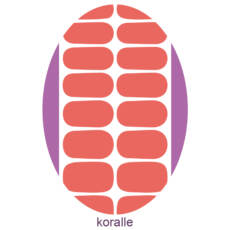 UV Gel Folien - Manilou - koralle