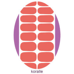 UV Gel Folien - Manilou - koralle
