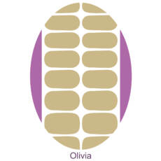 UV Gel Folien - Manilou - Olivia
