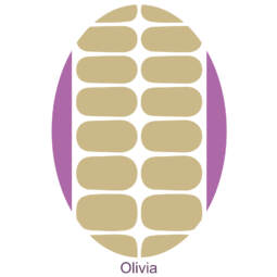 UV Gel Folien - Manilou - Olivia