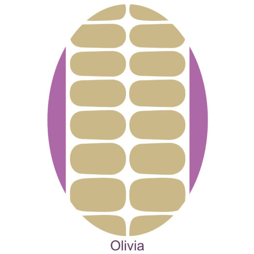 UV Gel Folien - Manilou - Olivia