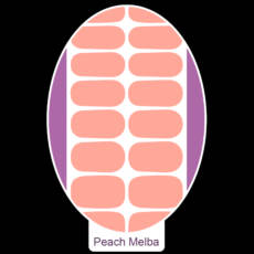 UV Gel Folien - Manilou - peach melba