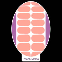 UV Gel Folien - Manilou - peach melba