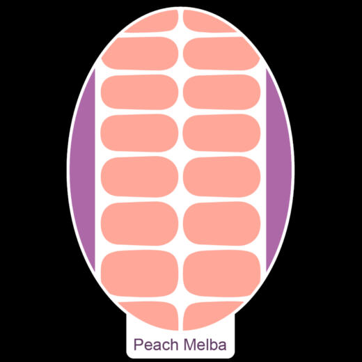 UV Gel Folien - Manilou - peach melba