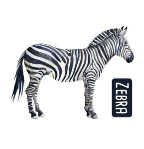 DTF Bügelbild N8 - Zebra (ca. 10,5 x 13,5cm)