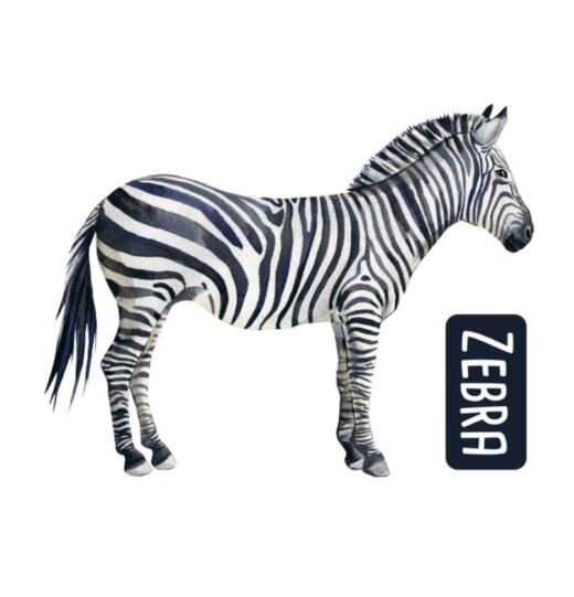 DTF Bügelbild N8 - Zebra (ca. 10,5 x 13,5cm)