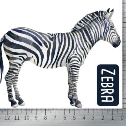 DTF Bügelbild N8 - Zebra (ca. 10,5 x 13,5cm) – Bild 2
