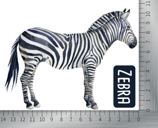 DTF Bügelbild N8 - Zebra (ca. 10,5 x 13,5cm)