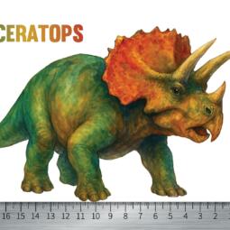 DTF Bügelbild F16 - Triceratops (ca. 18,5 x 12cm) – Bild 2