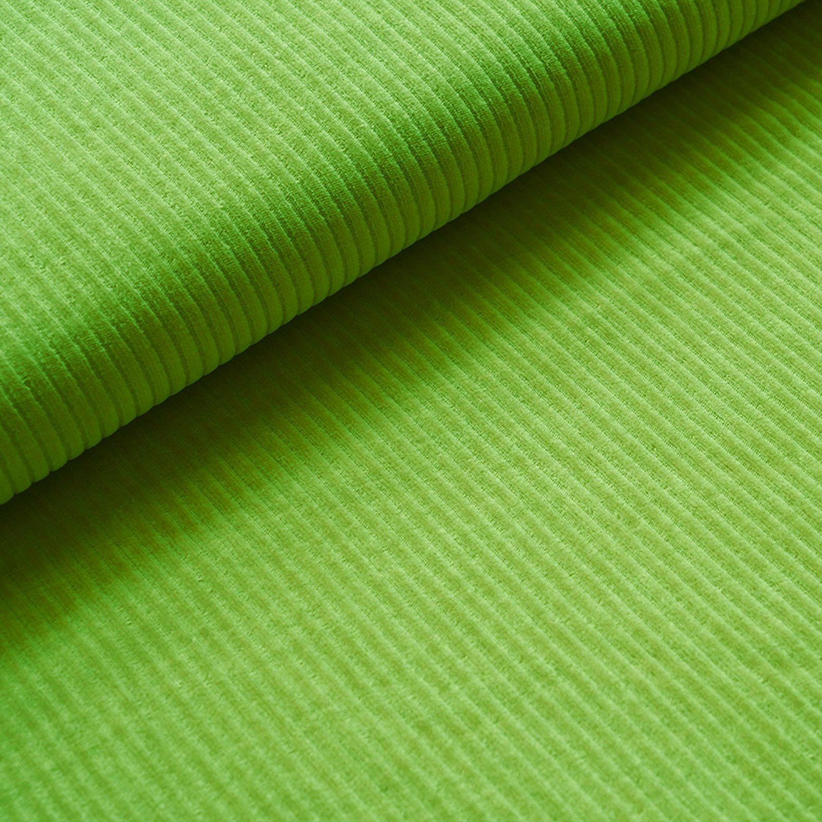 bio-cordnicky-kiwi bio-cordnicky-kiwi