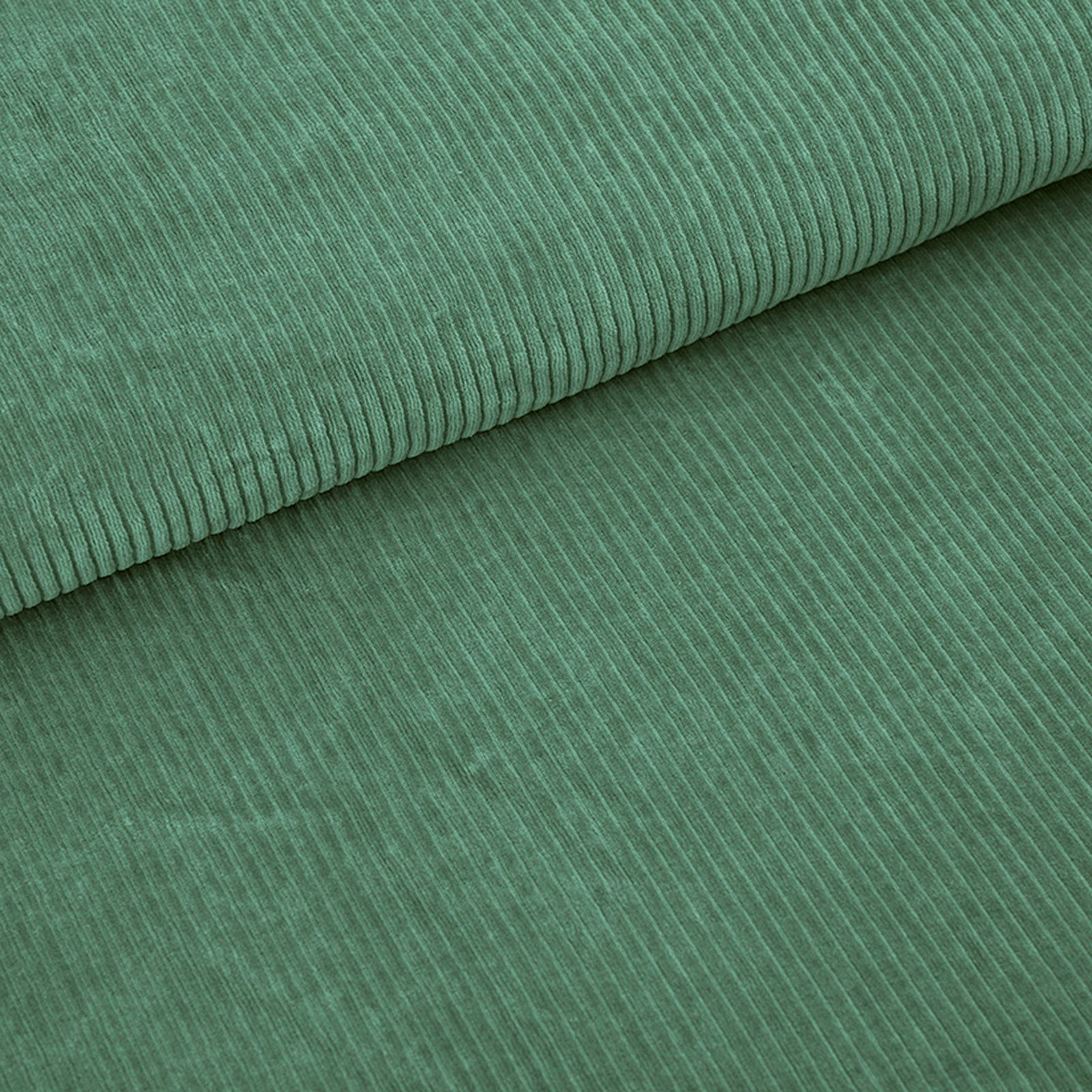 bio_cordnicky_staubgruen_1 bio_cordnicky_staubgruen_1