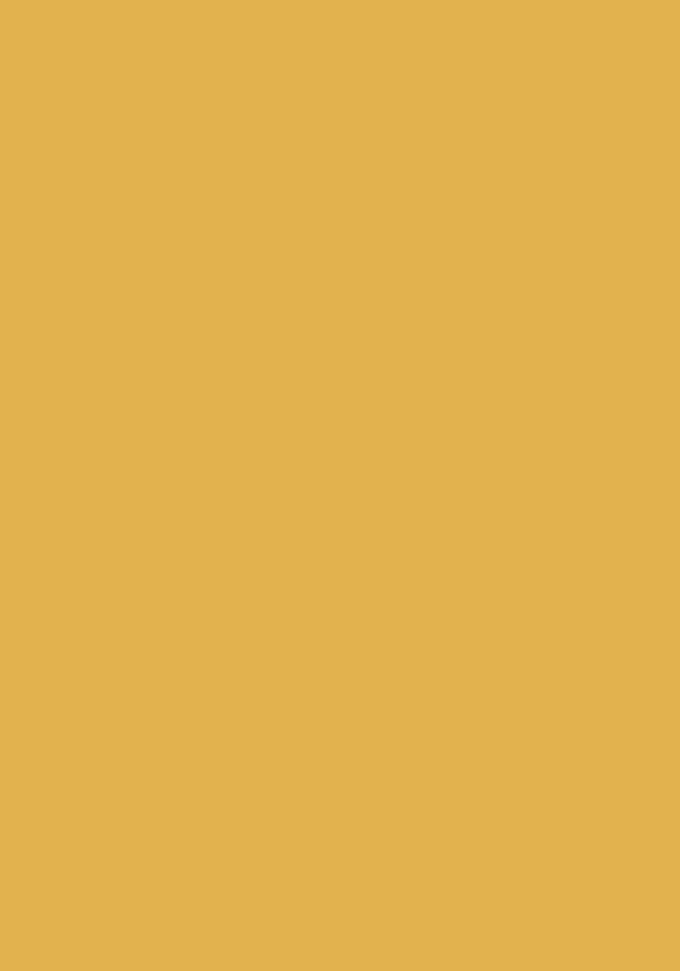 eRVS Krampe 5mm golden ochre (123)