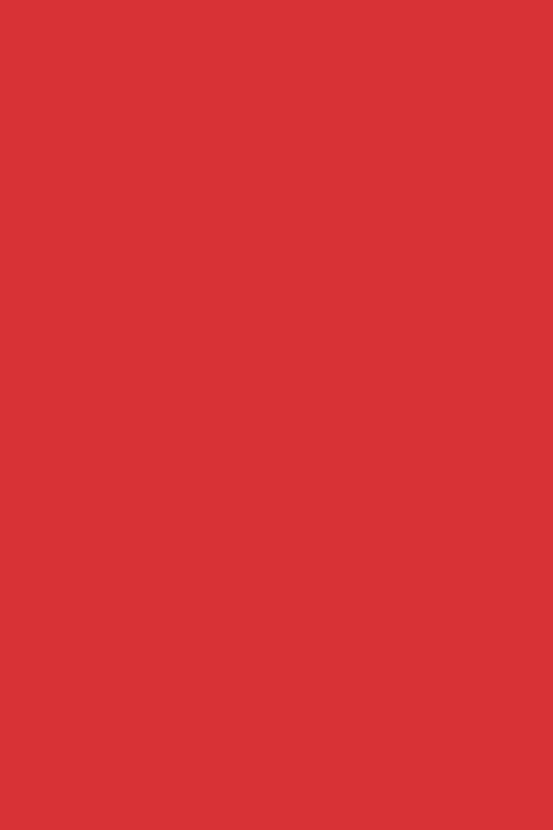 eRVS Krampe 5mm rot (148)