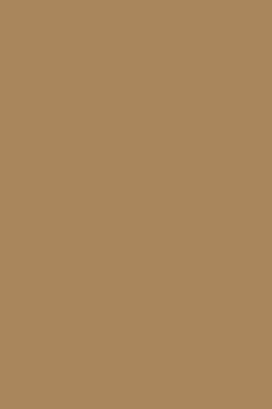 eSRV 5mm cafe au lait (293)