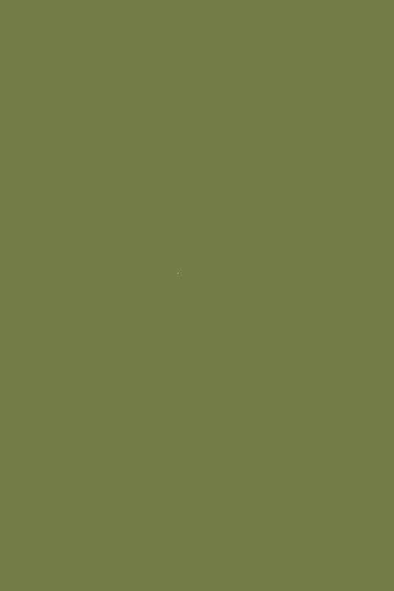 eSRV 5mm khaki (263)