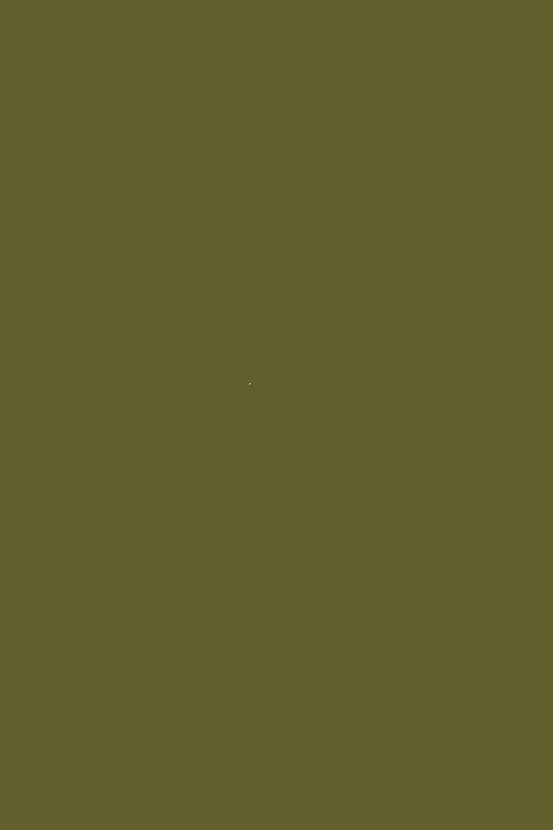 RV dunkles khaki