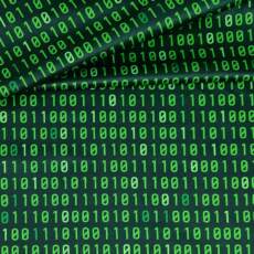 PUL Stoff bedruckt - Tigerlilly EP - Binärcode