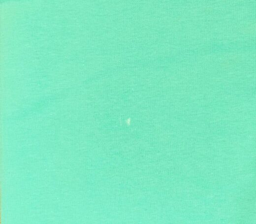 B-Ware: Biobündchen Finn - mint 780