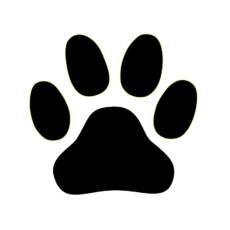 Bügelbild - Pfote (ca. 11 x 10cm) - Folienauswahl