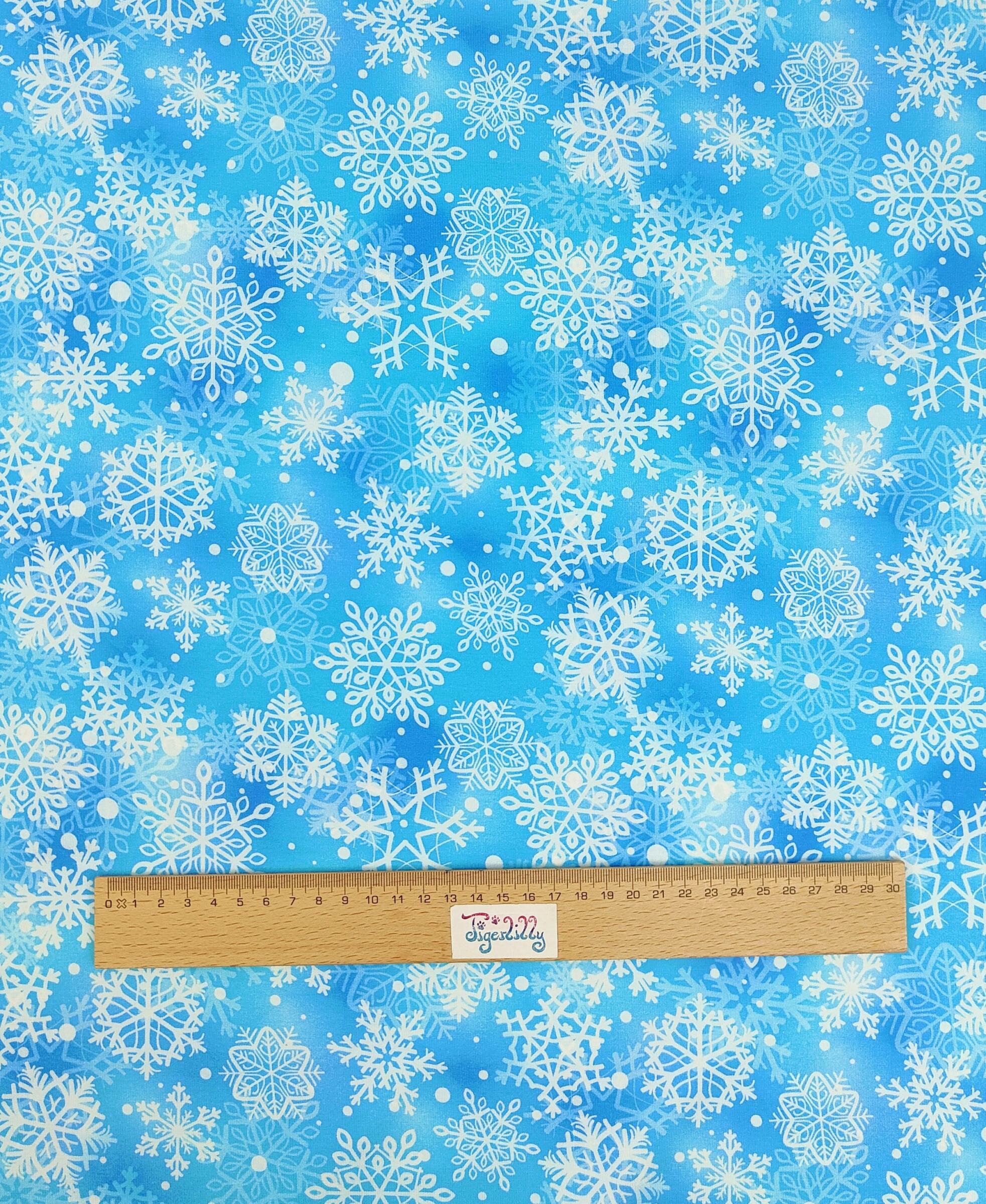 Schneegestöber 2026 1