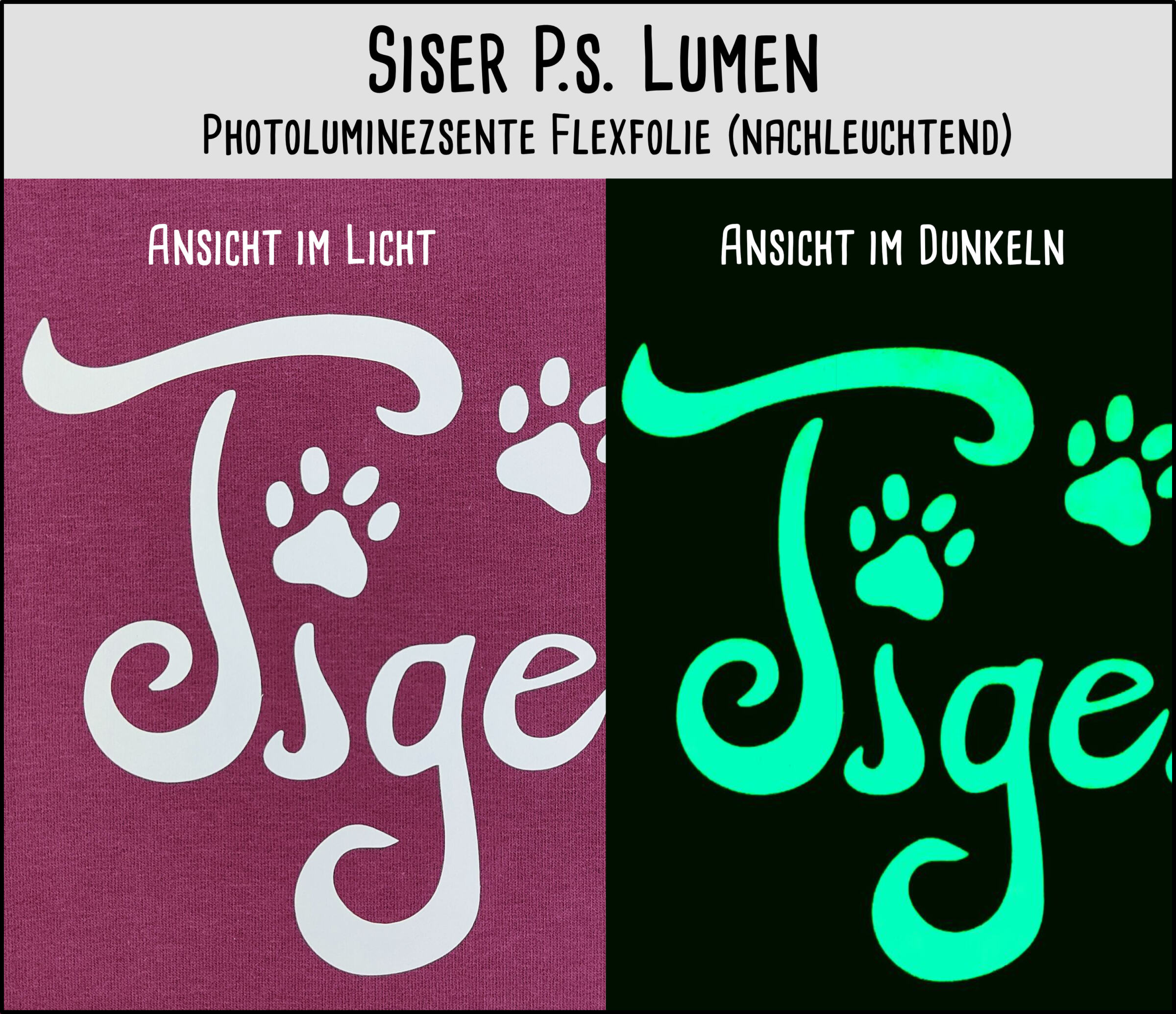 Siser Nachtleuchtend Gruppe_Feli Siser Nachtleuchtend Gruppe_Feli