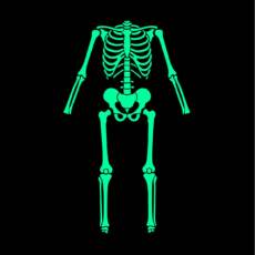 Bügelbild Skelett - Farb- und Größenauswahl