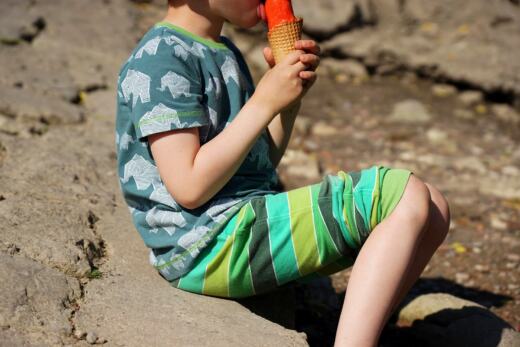 Bio Sommersweat - Tigerlilly - Blockstreifen Yuva