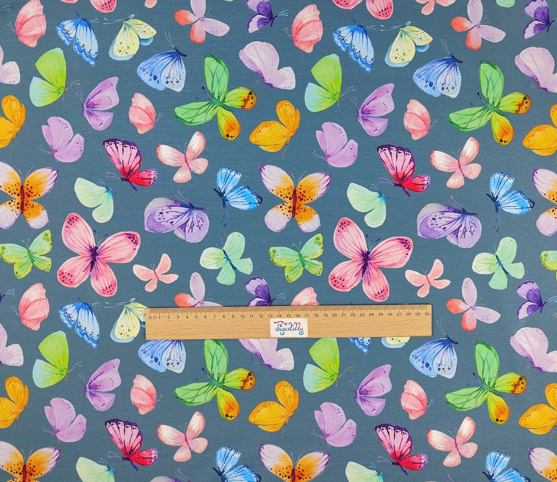 Schmetterlinge 10