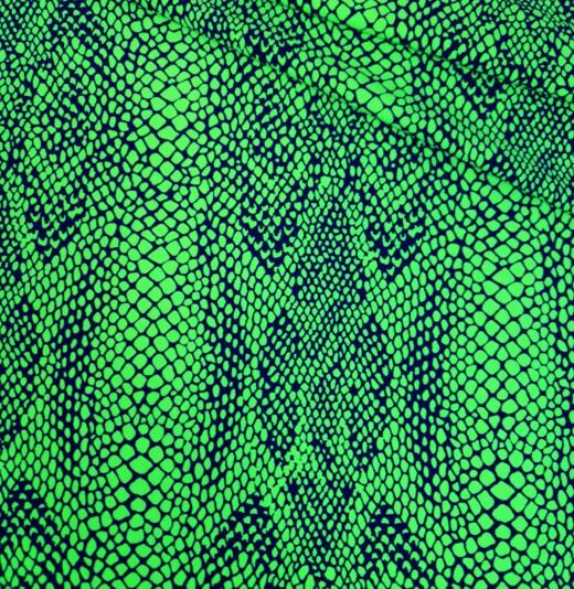 Bade-/Sportjersey - Snake